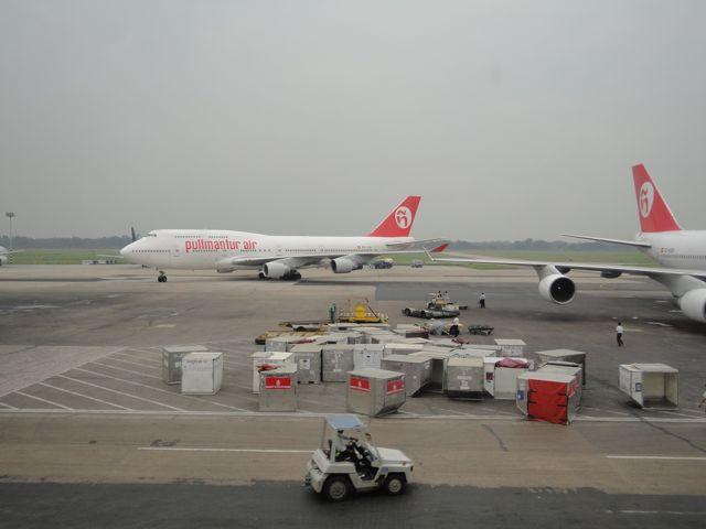 DSC01555.jpg